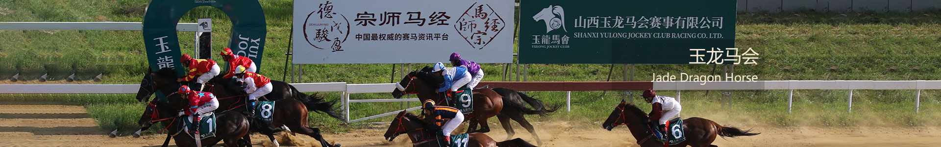 山西玉龍投資集團(tuán)有限公司